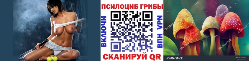 купить наркотики цена  Светлогорск  сайты даркнета Telegram  Галлюциногенные грибы мицелий 